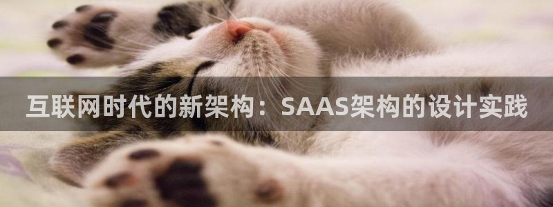 天狮娱乐是做什么的
