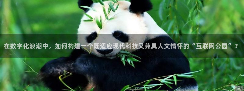 天狮娱乐股东39869