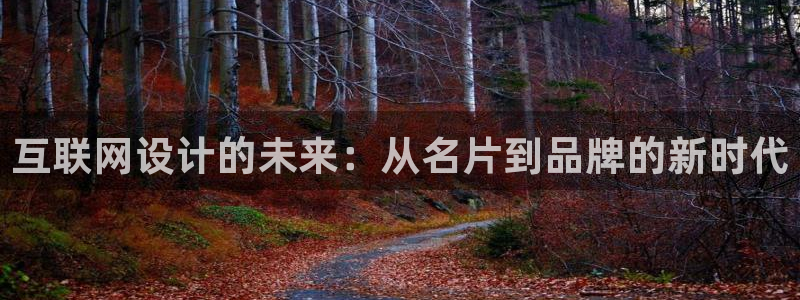 天狮娱乐专线