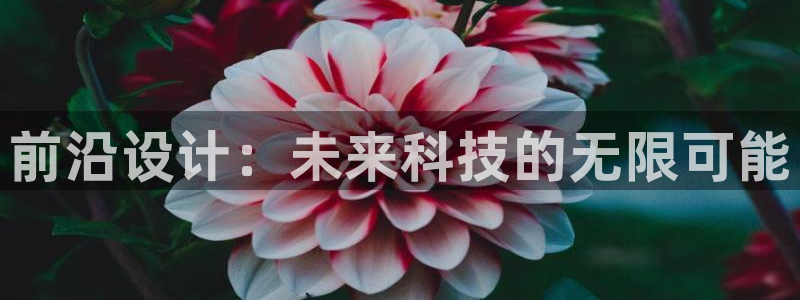 天狮娱乐招商80326