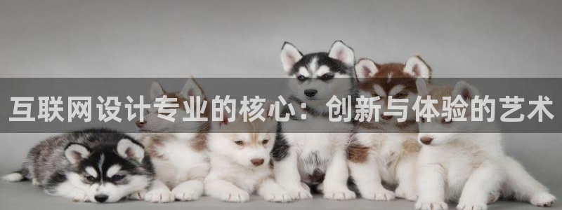 天狮娱乐直招64681