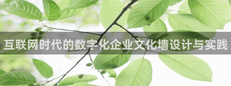 龙湖狮山天街娱乐
