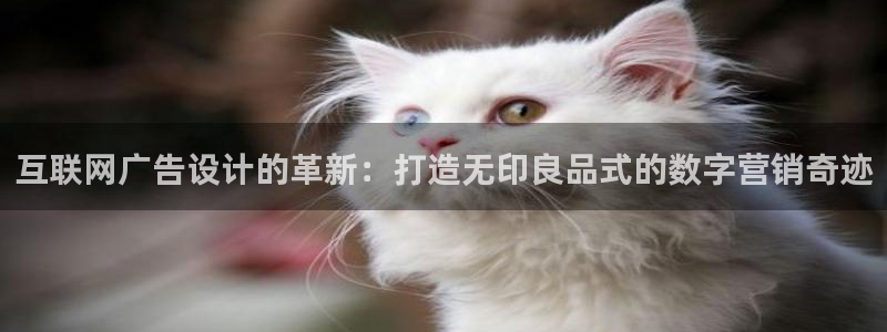 天狮娱乐26日判官333oo