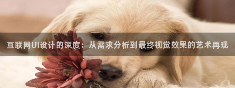天狮娱乐然：互联网UI设计的深