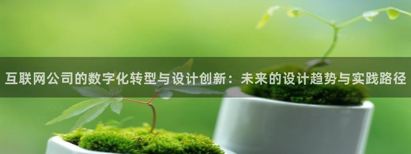 天狮娱乐股东39869：互联网