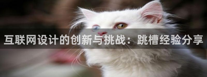 天狮娱乐招商57757