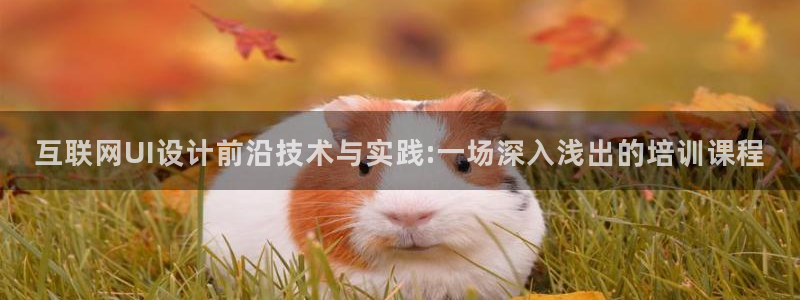 天狮娱乐非法吗：互联网UI设计