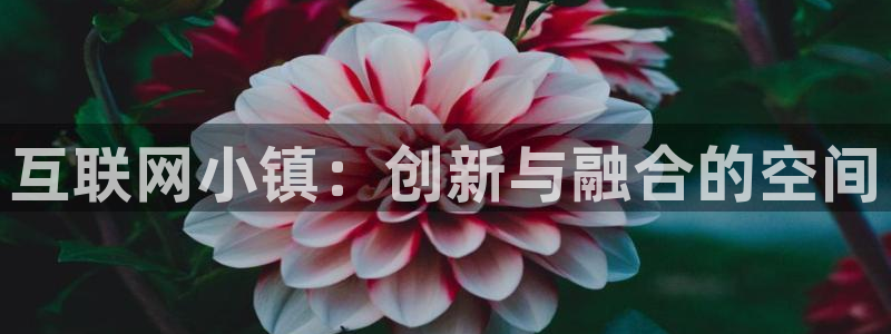 天狮娱乐湫333 00