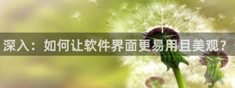 天狮娱乐平台：深入：如何让软件