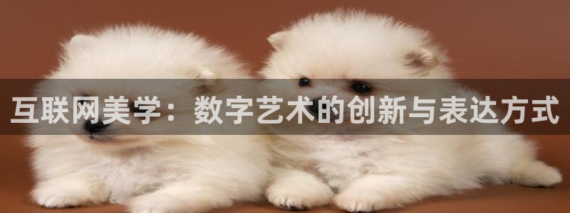 天狮娱乐下载网址