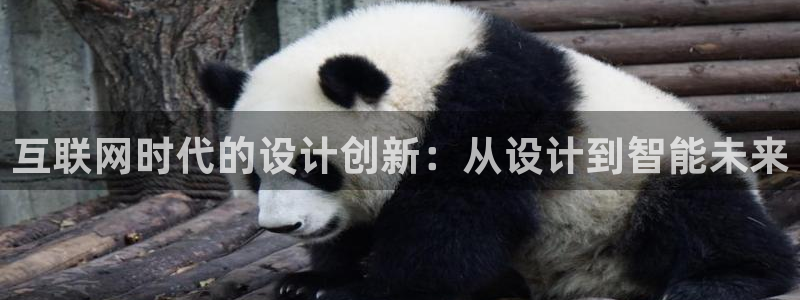 天狮娱乐招商主管