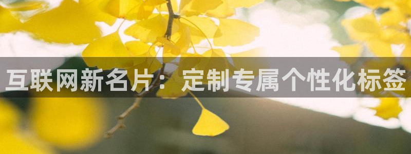 天狮娱乐股东36633