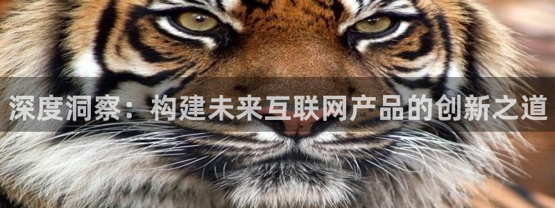 天狮娱乐39096股东：深度洞