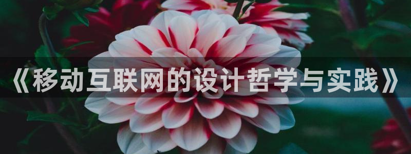 天狮娱乐客服