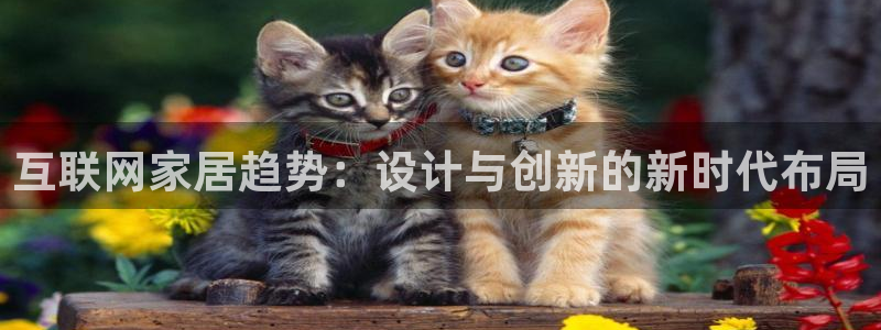 天狮娱乐待遇