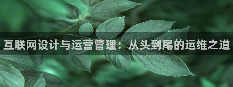 天狮娱乐主管q42862s