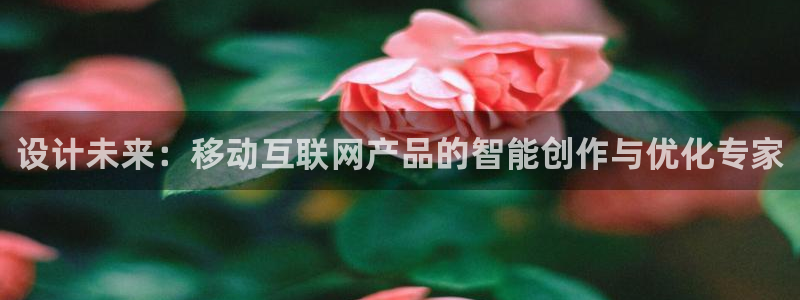 天狮娱乐工资：设计未来：移动互