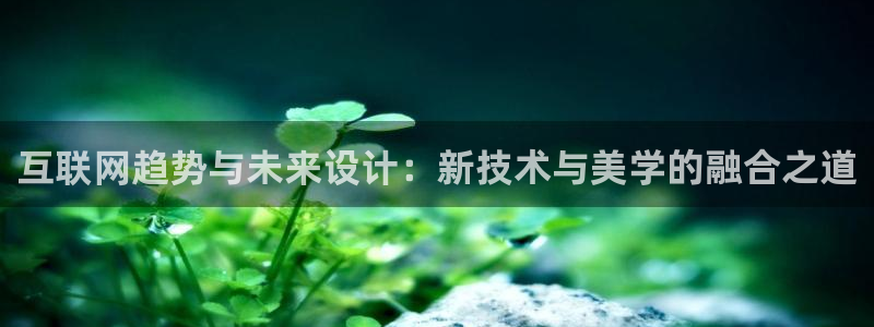 天狮娱乐妞妞：互联网趋势与未来