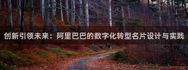 石家庄天狮娱乐会所：创新引领未