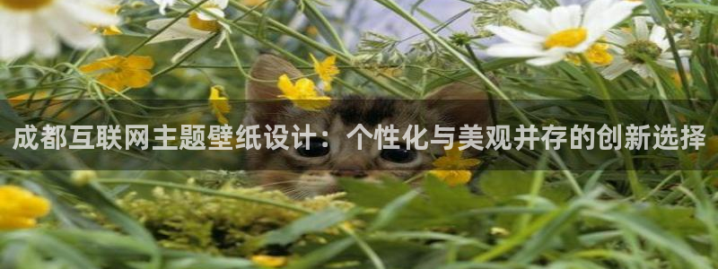 天狮娱乐b 判官