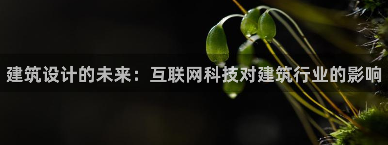 天狮娱乐负责人是