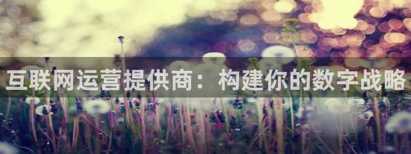 天狮娱乐 彩票