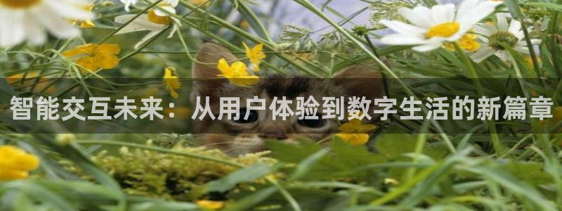天狮娱乐招