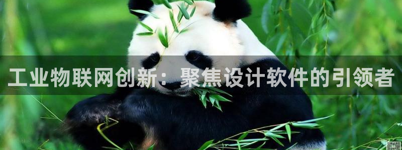 天狮娱乐卧J招商60447