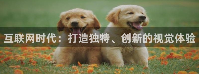 天狮娱乐26日判官333oo