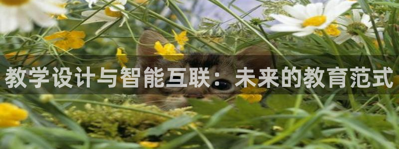 天狮娱乐q聊_99399天神_