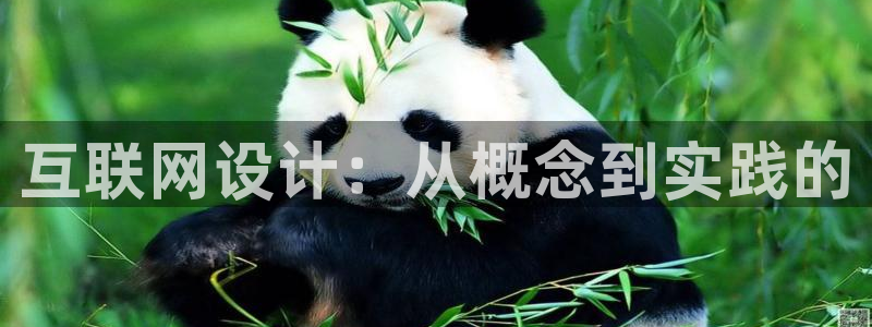天狮娱乐年：互联网设计：从概念